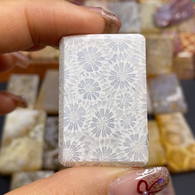 【闪购商品】硅化珊瑚（珊瑚玉）颈饰未镶嵌K8