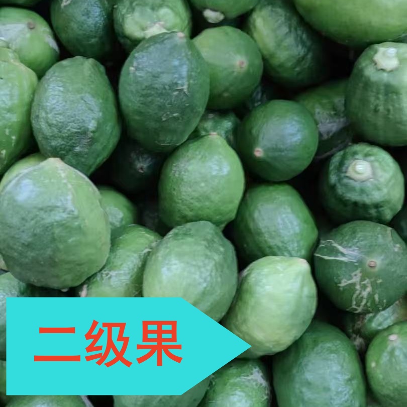 【可自选顺丰快递】广东鲜果香水柠檬无籽新鲜多汁香气浓郁
