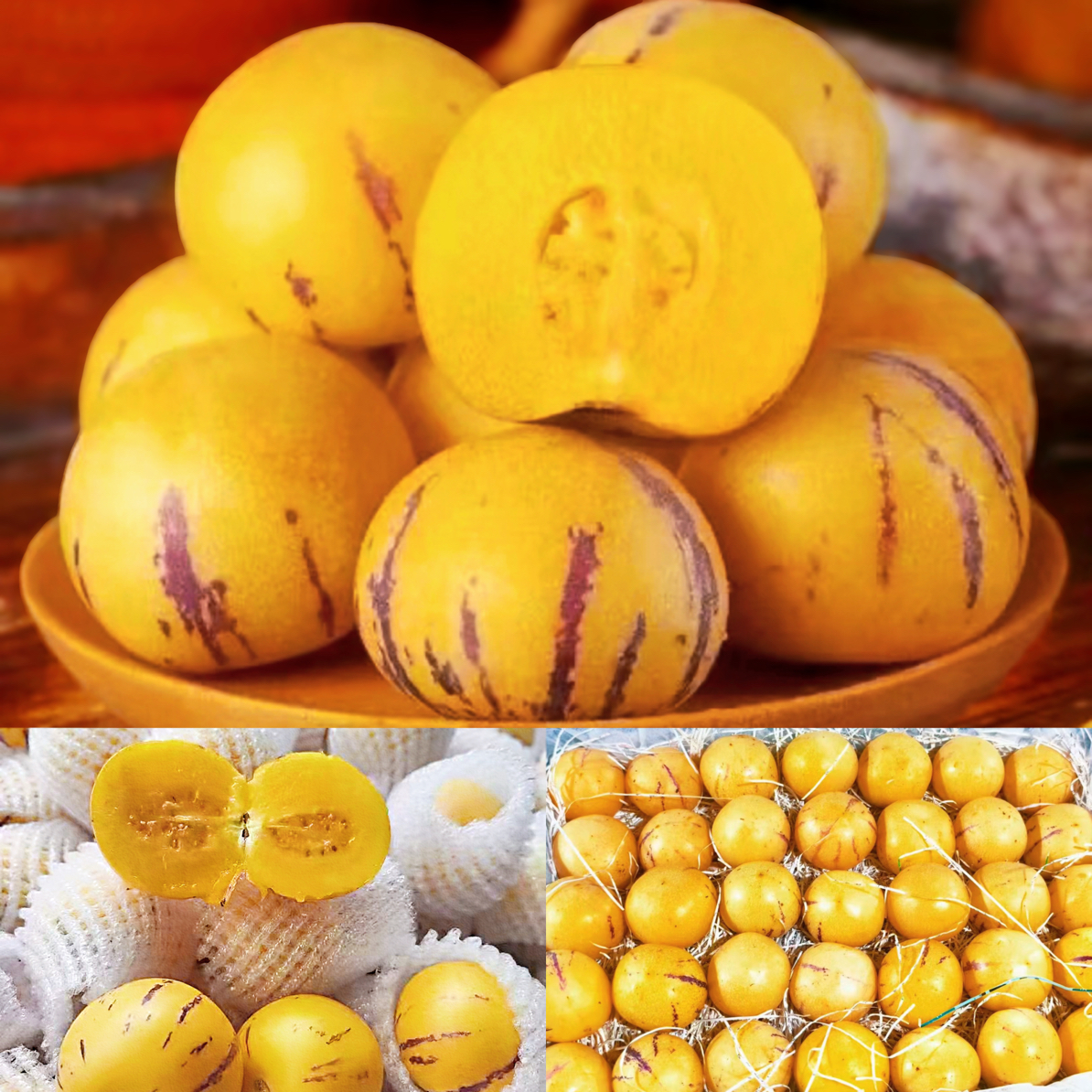 【原产地直发】云南石林树上熟鲜清甜多汁当季水果正宗黄心人参果