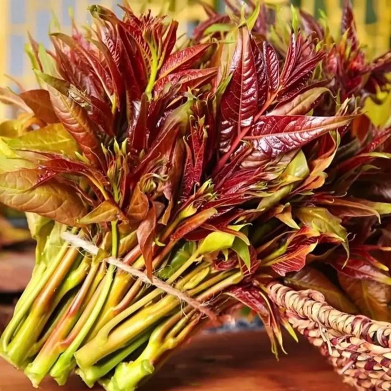 高原红香椿芽45g±5g/盒