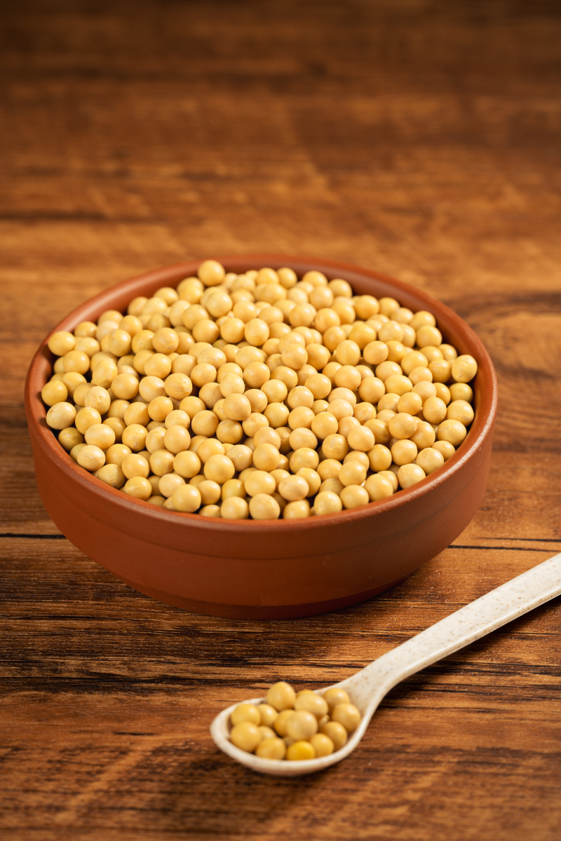 苏北本地露天批发农村新鲜黄豆豆子大豆鸡蛋黄补血咖啡作用黄豆豆