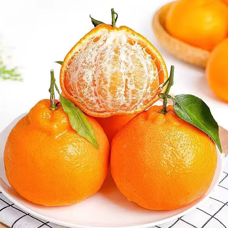 【春见】耙耙柑正宗春见新鲜水果橘子精品大果筐装粑粑柑包邮