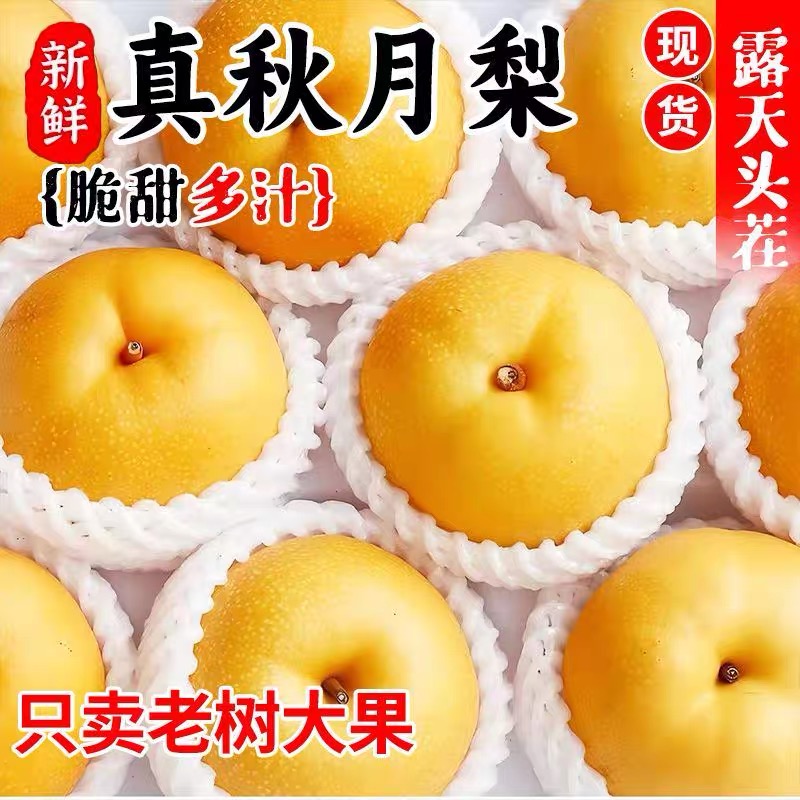 正宗山东莱阳秋月梨梨子当季新鲜水果细腻香甜多汁皮薄冰糖雪梨