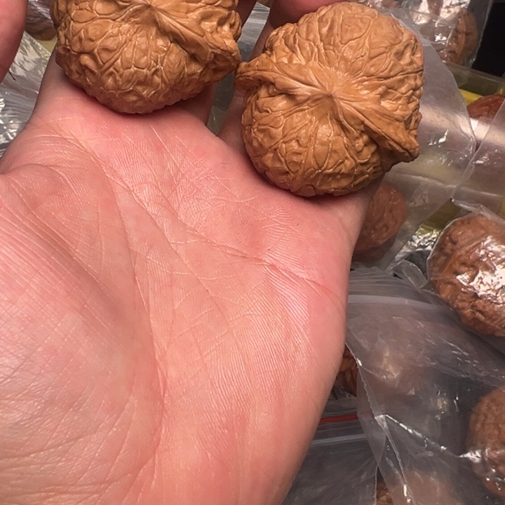 核桃46全品，已打底南瓜