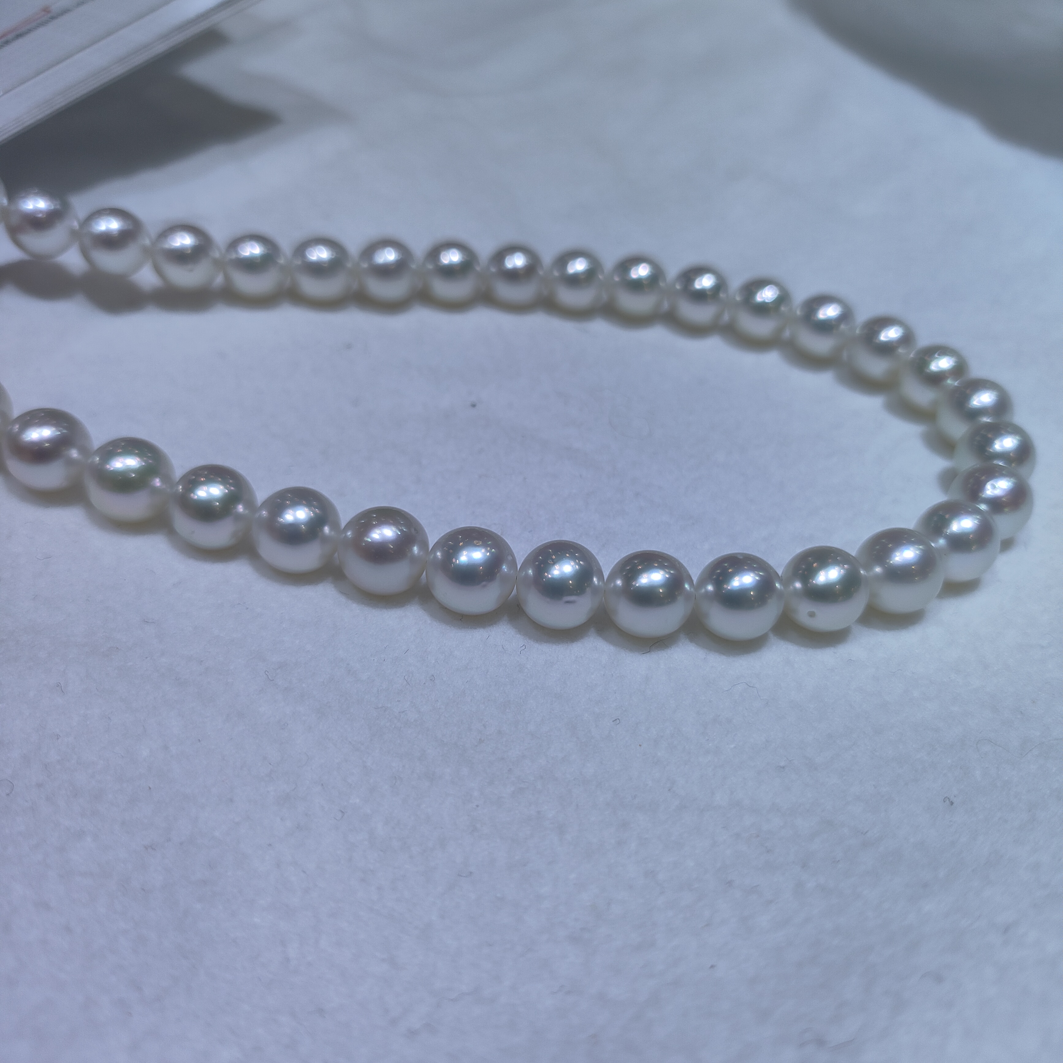 【缘美真珠XL489】海水澳白项链带真科研凤凰证书 8-10mm