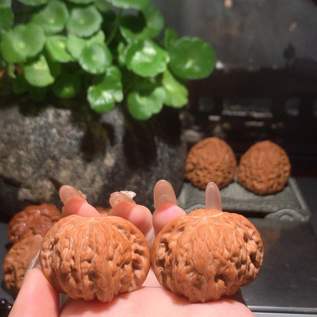 文玩核桃吊坠L****t红皮正磨040108