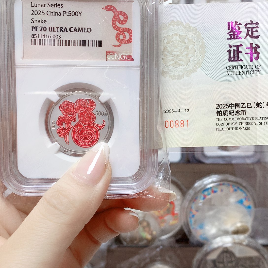 纯铂2025年铂金蛇15克70分