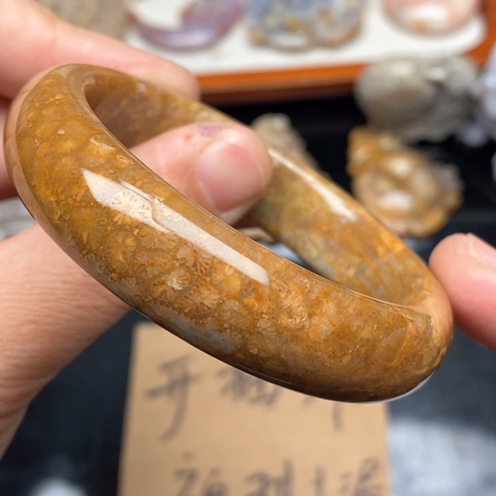 硅化珊瑚（珊瑚玉）颈饰未镶嵌51.5