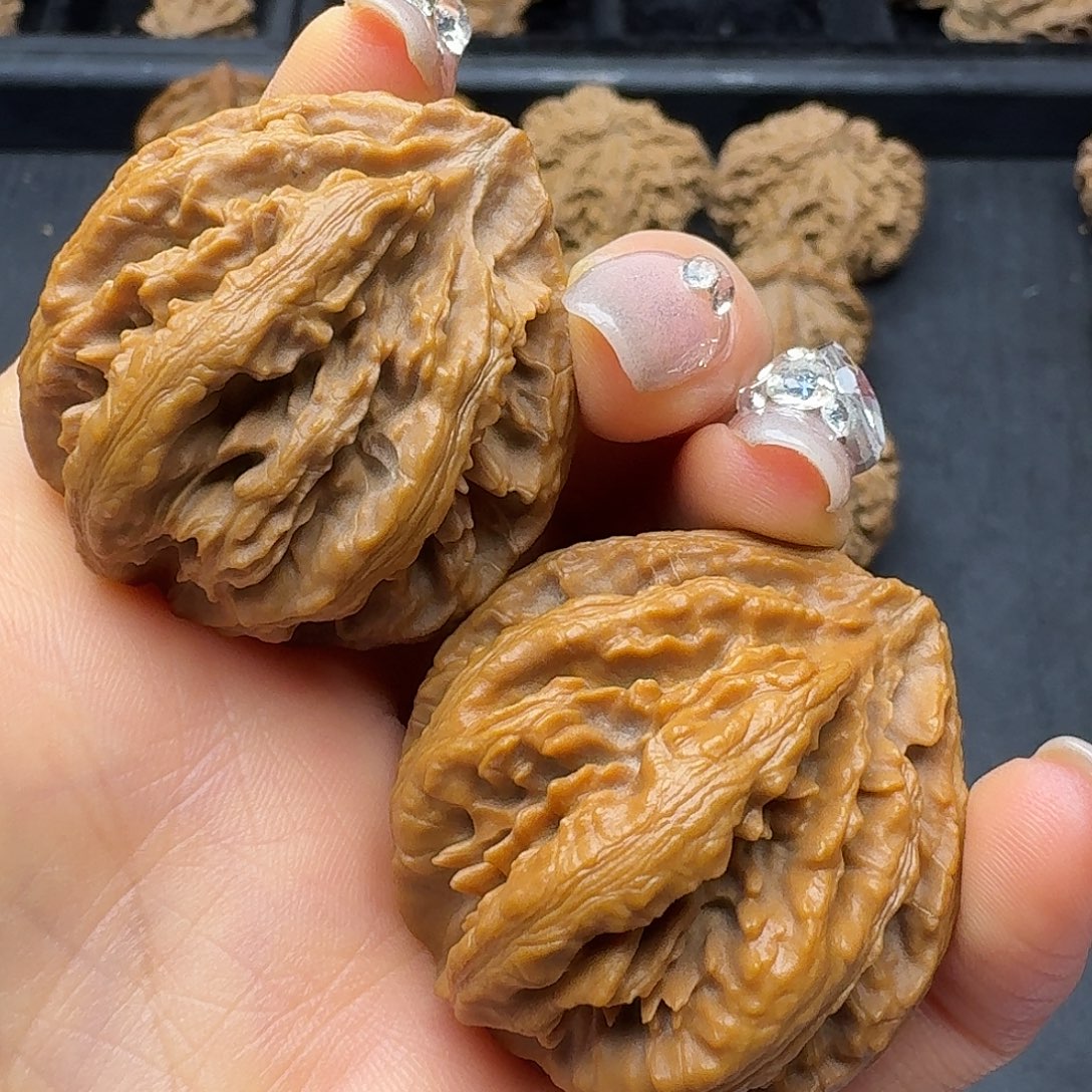 桃木突突突突突突突突