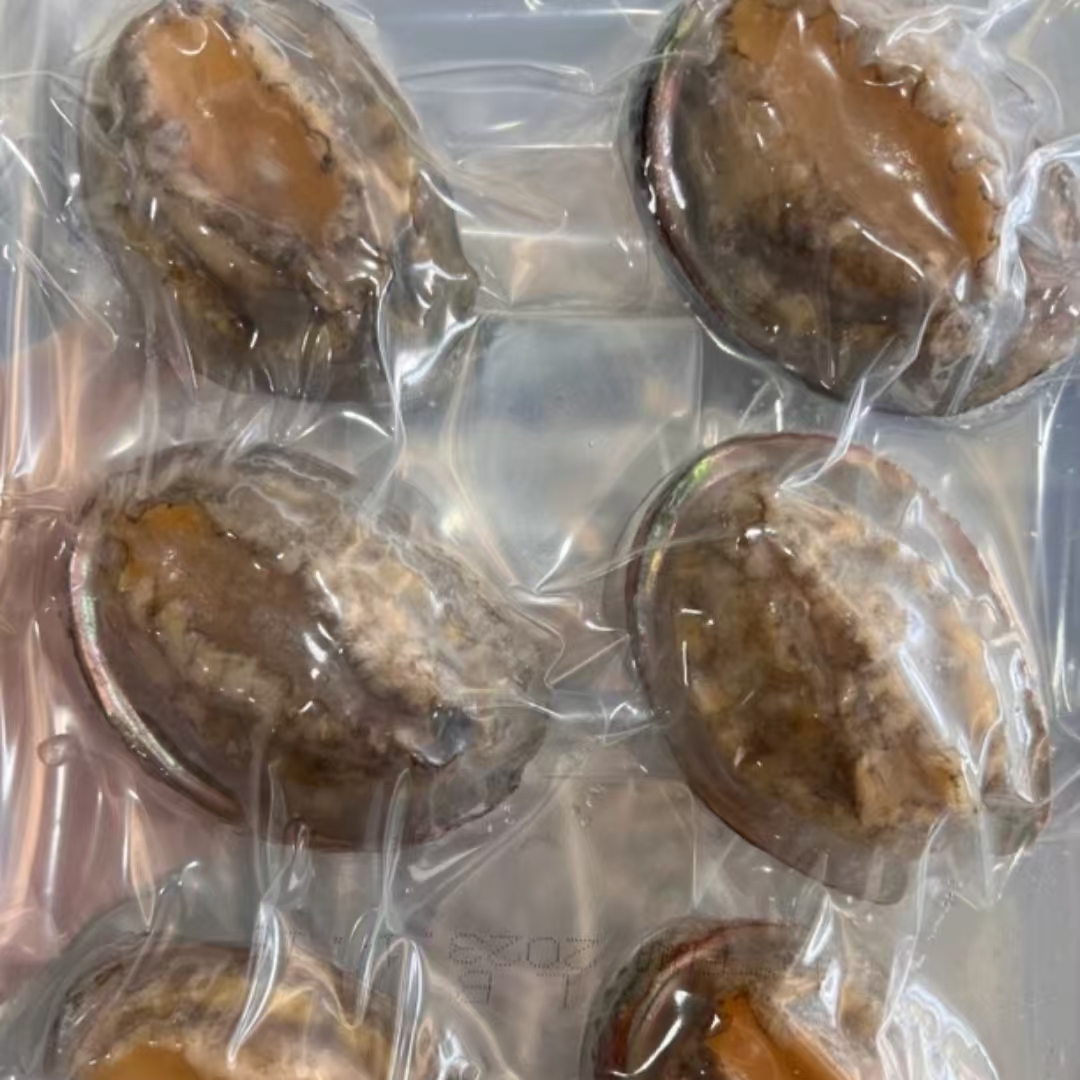 活冻鲍鱼冷冻去内脏新鲜