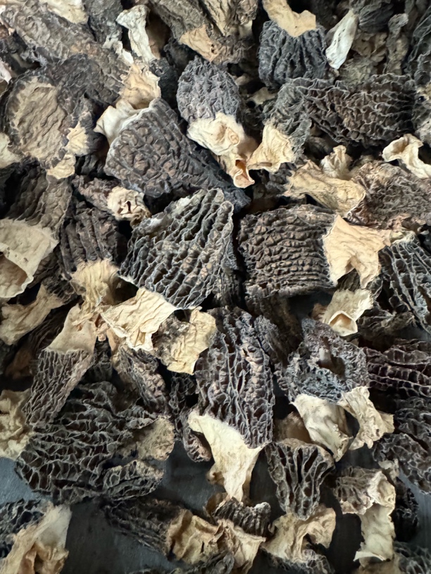 压扁无柄羊肚菌一斤装！捡漏款！