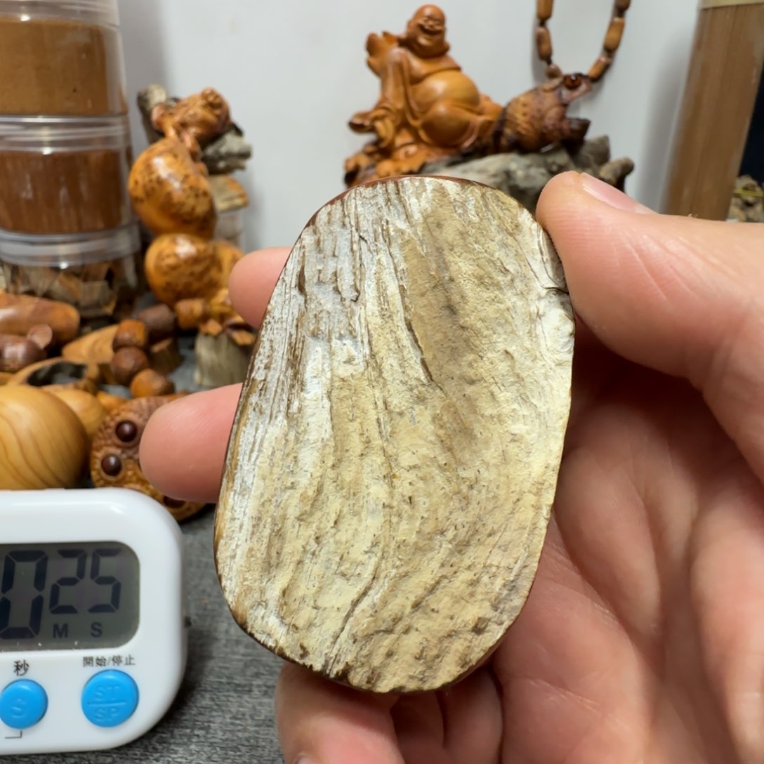 柏木（崖柏）我们都是好孩子呀我