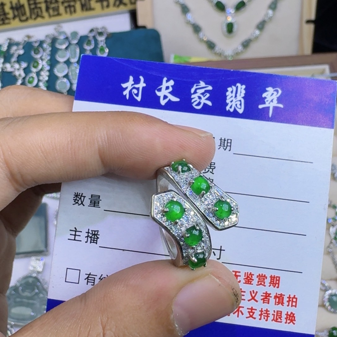 翡翠未镶嵌颈饰47