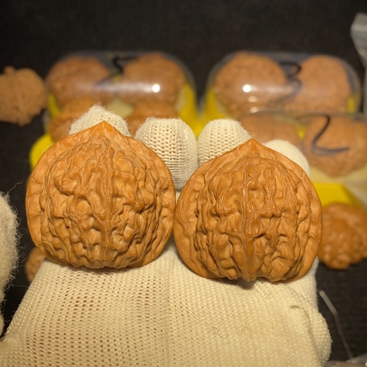 公子帽狮子头40尺新春福利