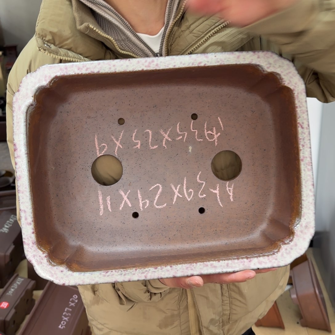 紫砂花盆呜呜呜呜