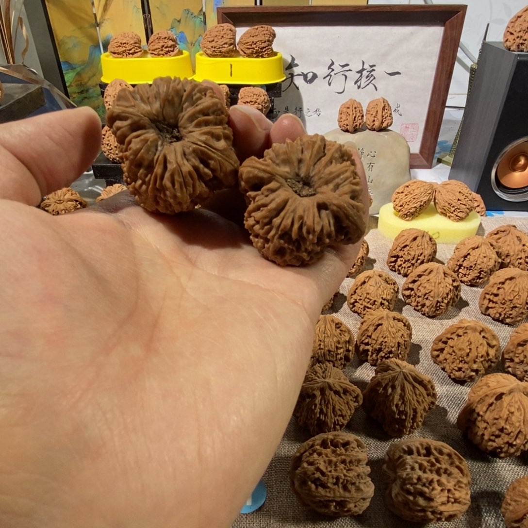 文玩核桃吊坠奥迪的福利对我来说是