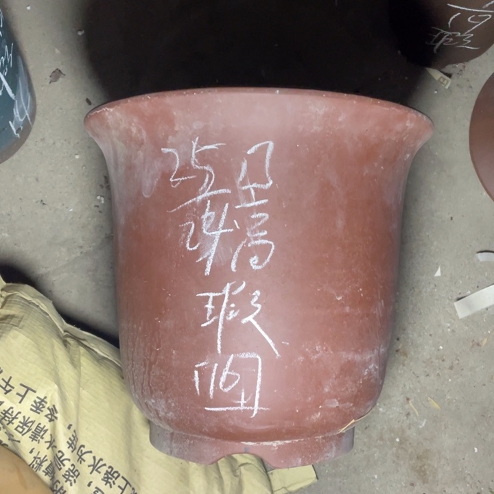 紫砂紫砂身上紫砂 