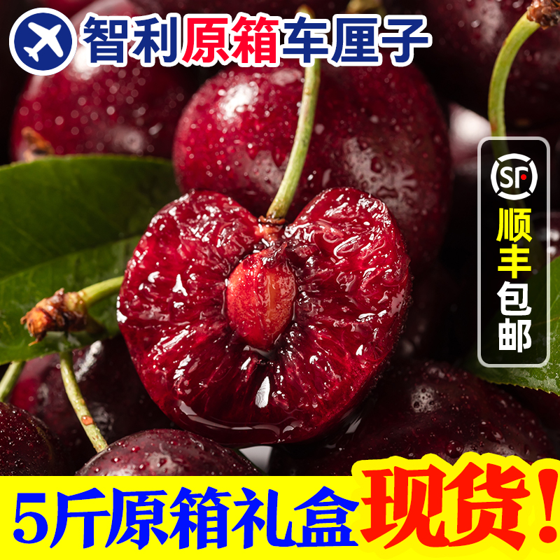 顺丰包邮【推荐5斤原箱·4J-3J】DS2智利进口车厘子海运 内附果径卡