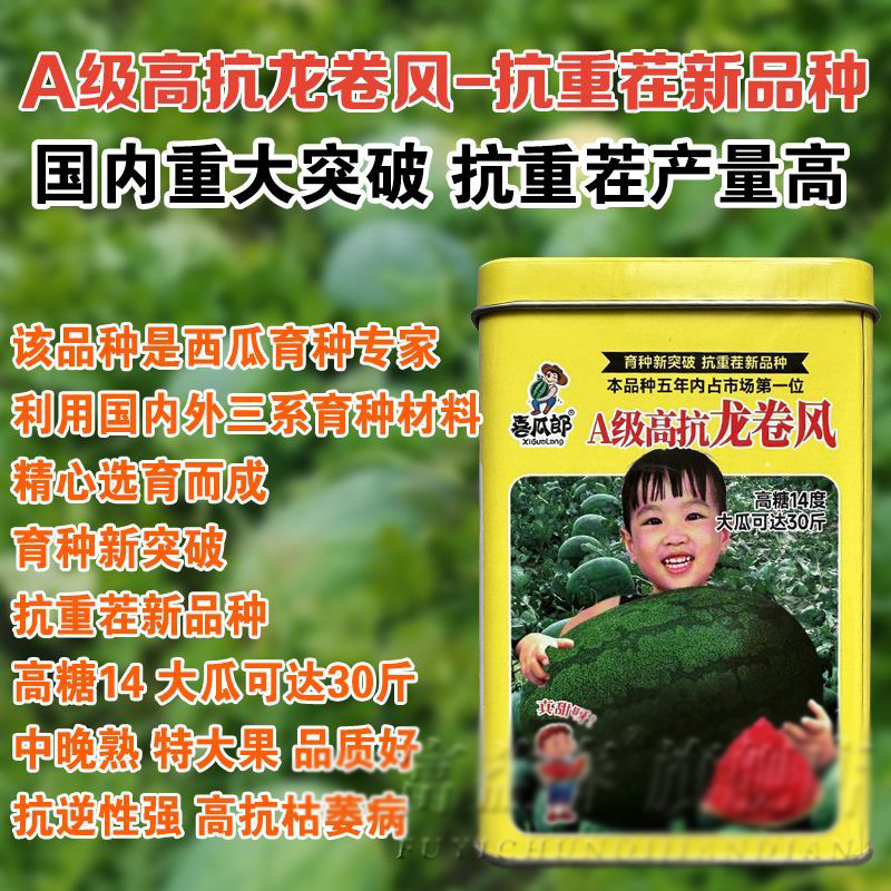 A级高抗龙卷风西瓜种子甜蜜多汁大红瓤暗花皮高产飓风王西瓜种籽