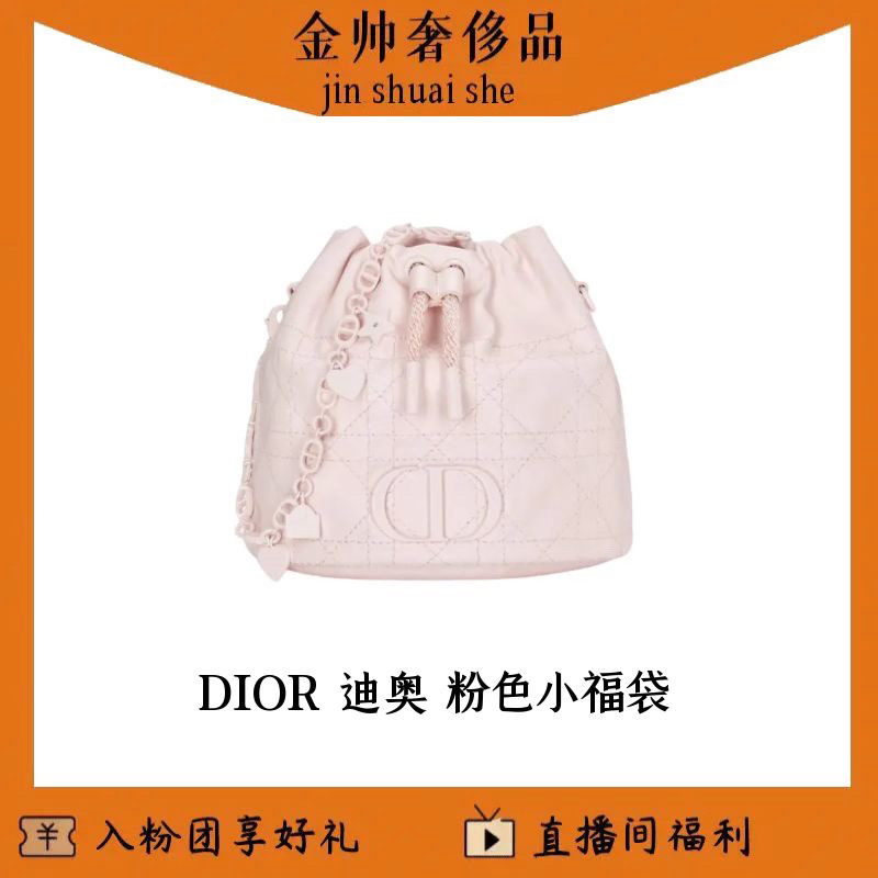 99新 DIOR/迪奥 粉色/小福袋/单肩包/B6608
