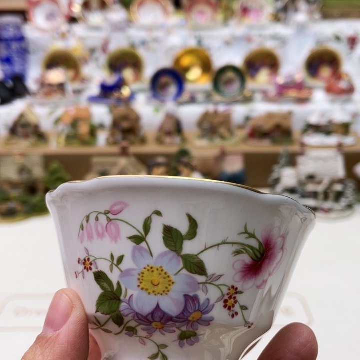 盘维多利亚欧洲中古