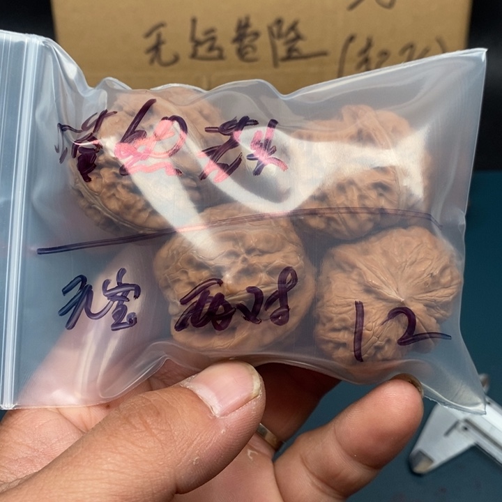 嗒***…吊坠文玩核桃文玩核桃平谷元宝