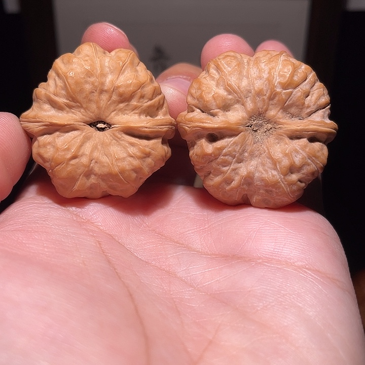 手串/手链核桃24006