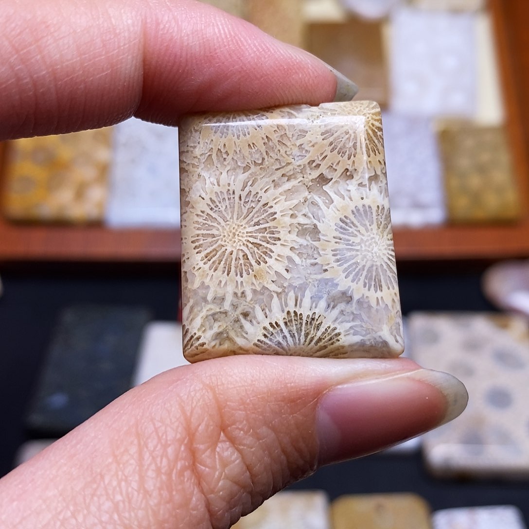 硅化玉珠宝奇石合金＆*