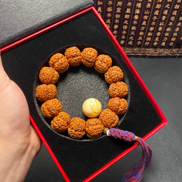 超头大金刚方墩梅花（15号）