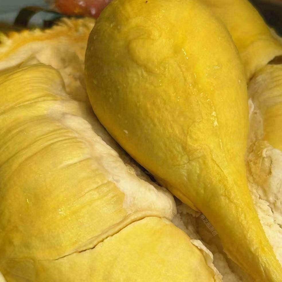 泰国金枕树熟鲜榴莲A果（一物一拍）斤（核大）榴莲   金枕泰国榴莲同城配金枕泰国南部