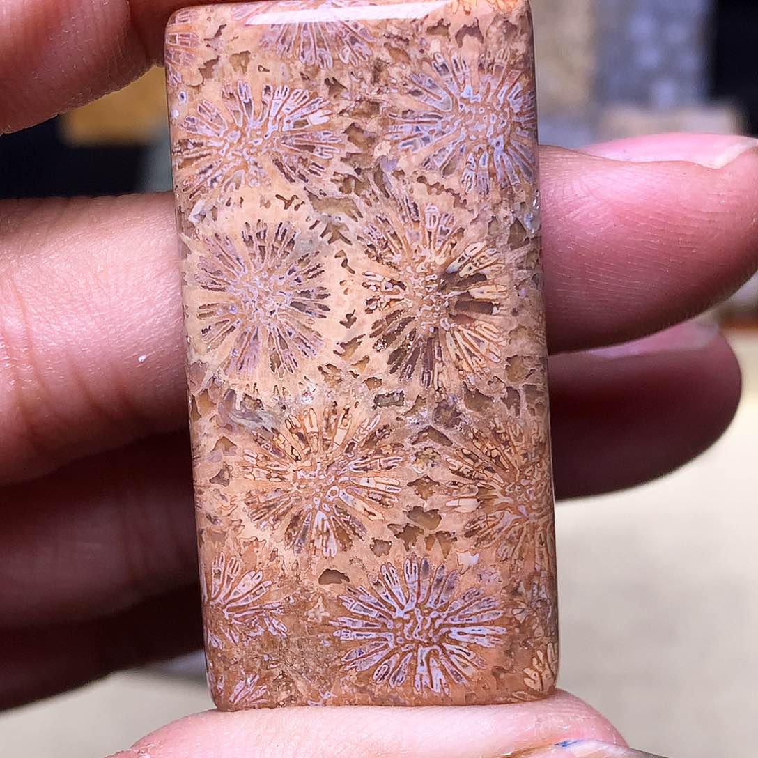 硅化玉珠宝奇石合金❄️****