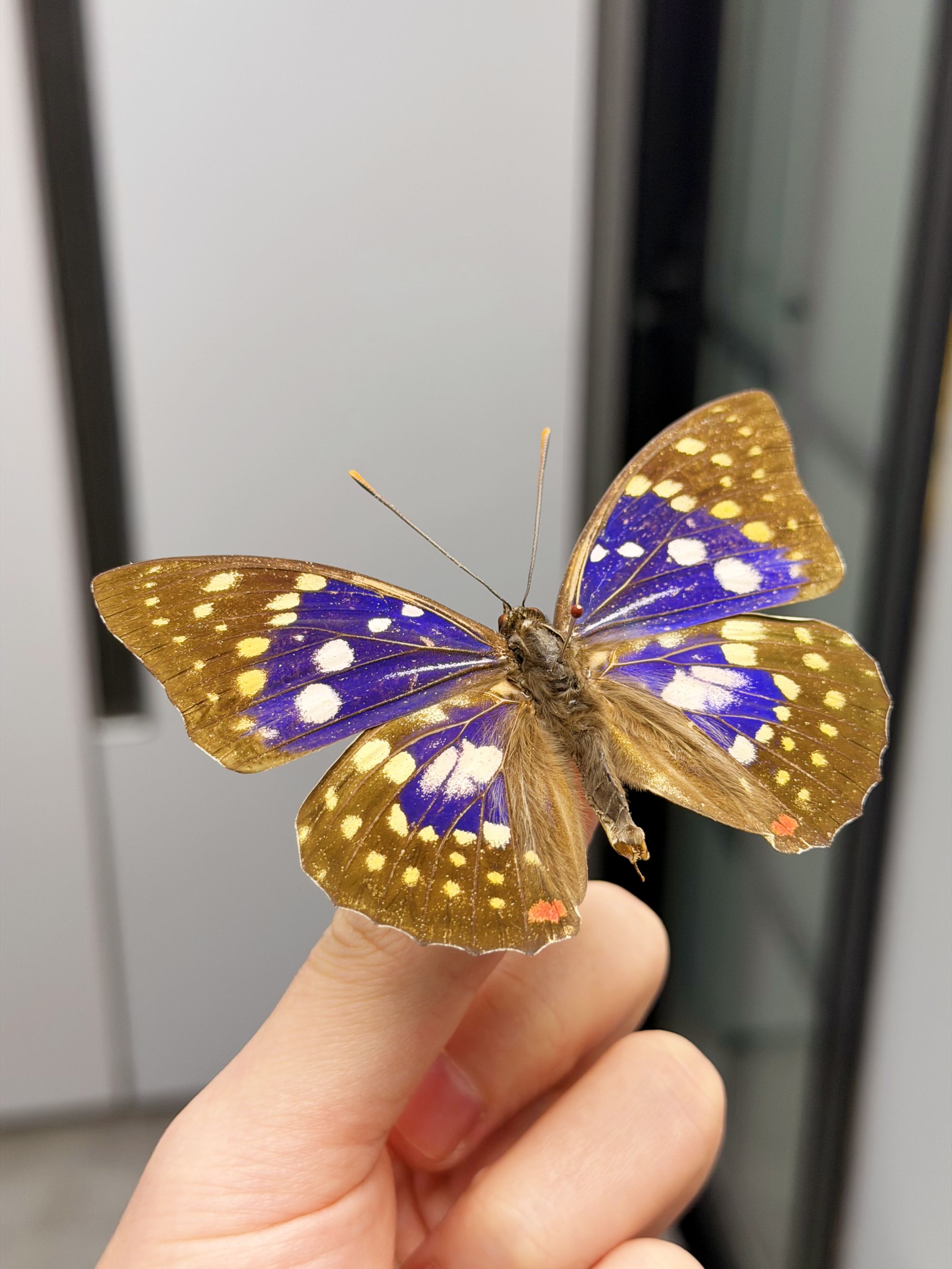 差价链接勿拍定制链接