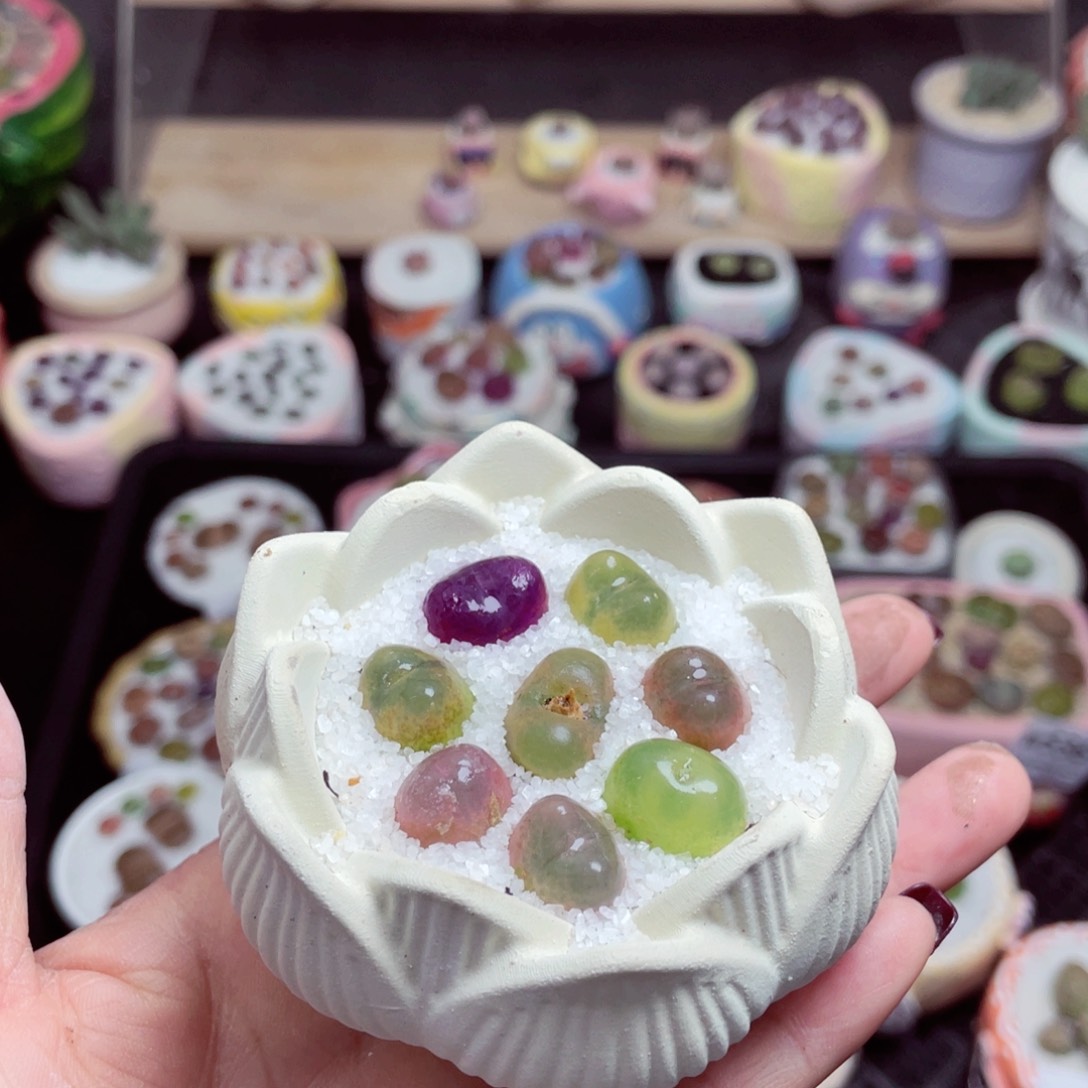 w5369 -零下地区拍保温箱-15支持寄养