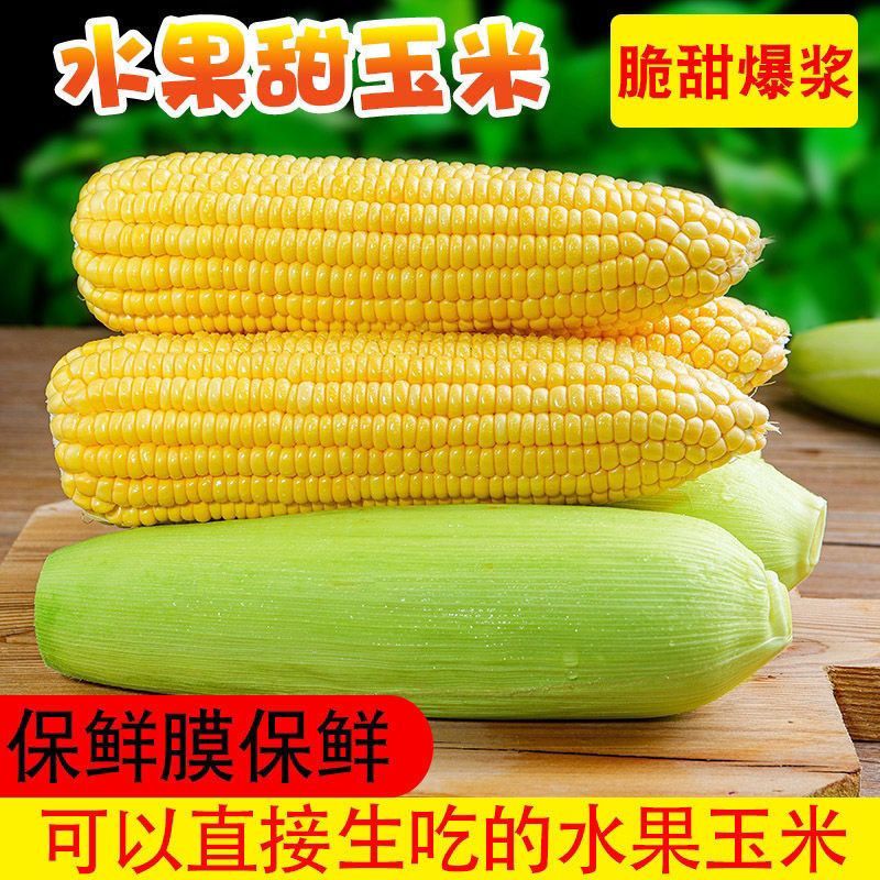 【5斤新人补贴】云南水果玉米 云南现摘 自家果园种植现摘现发！