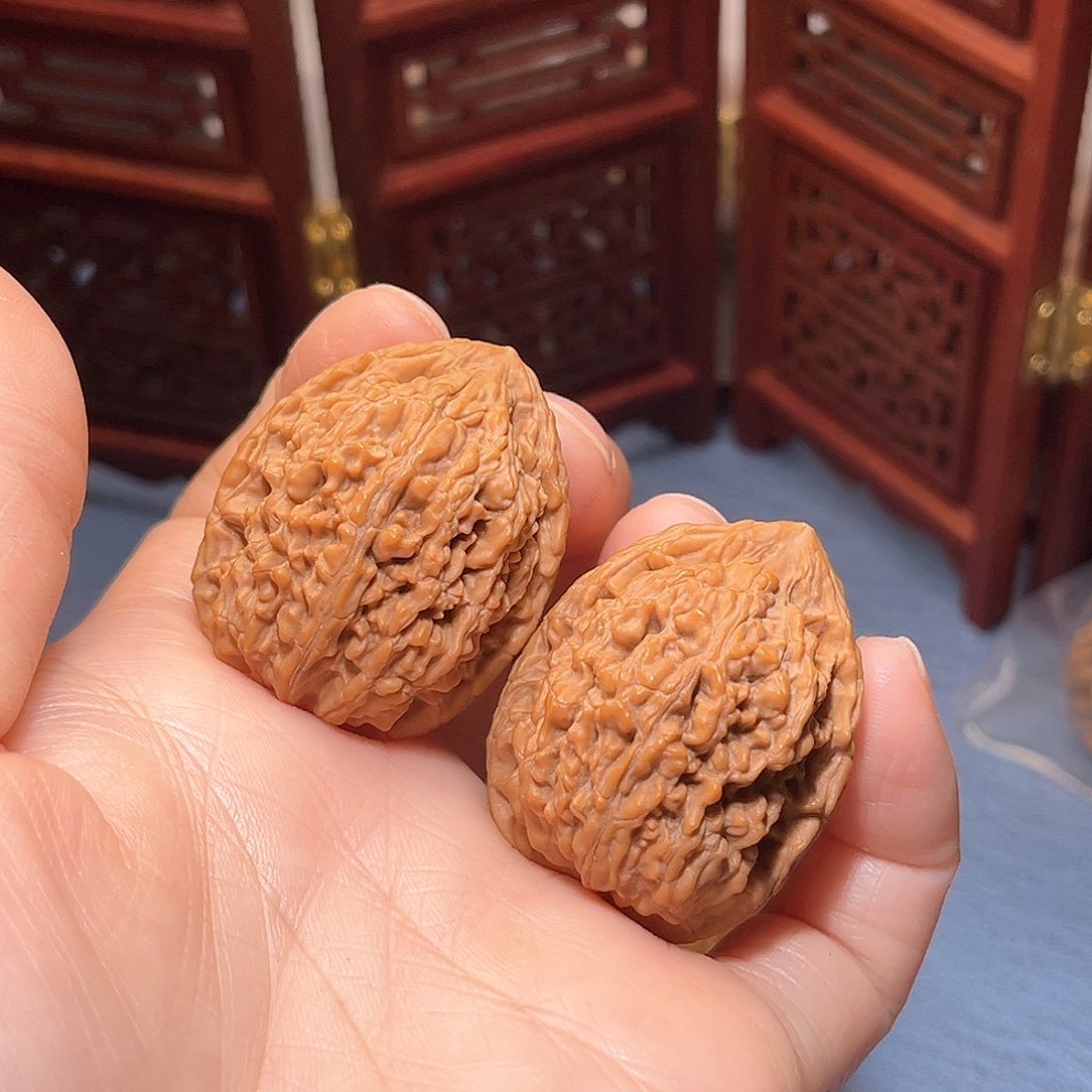 31全品蚂蚁王。精品