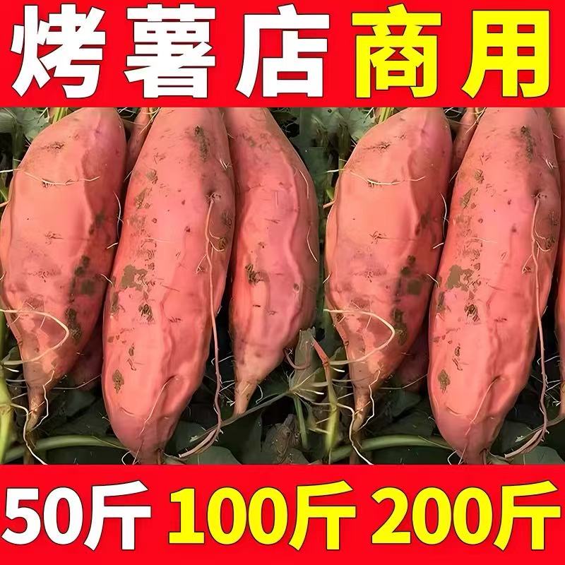 山东烟薯25号新鲜糖心蜜薯香甜流油可蒸煮可烤地瓜