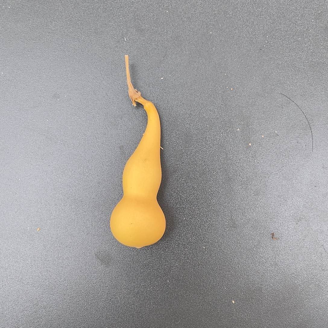 锄***J2880000000088885