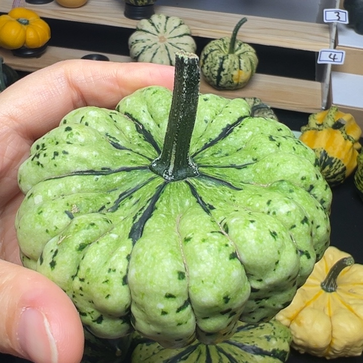 9***3福利福利福利福利