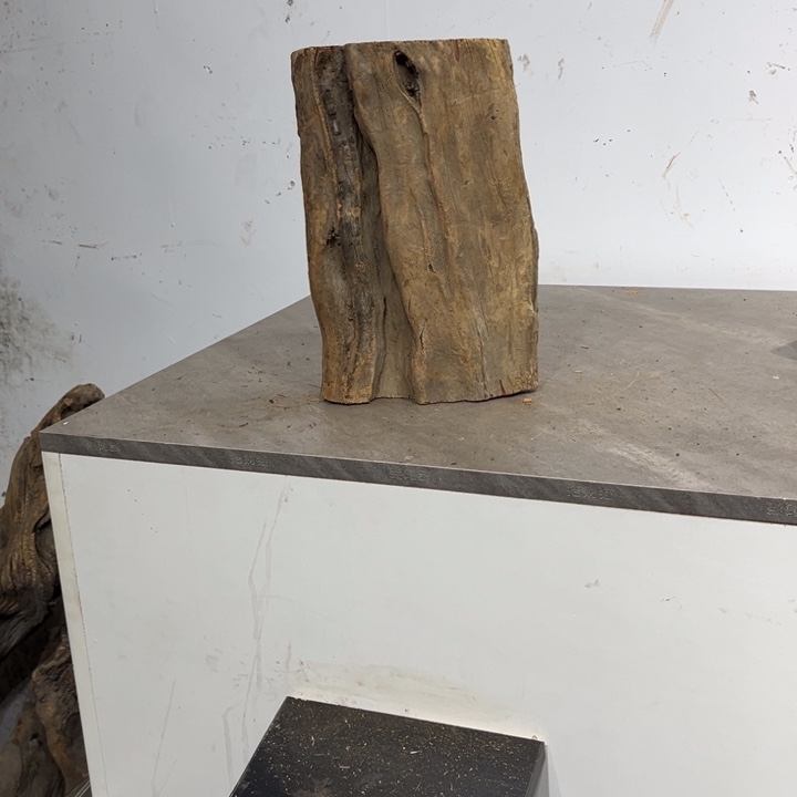 柏***艺柏木崖柏等自然景和人文环境