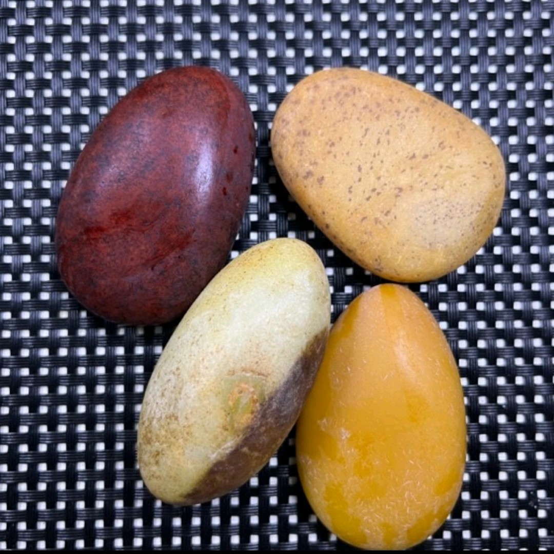 新疆戈壁三彩盆景石 黄蜡石 三彩石 泥石  【一物一拍，多样性发货】