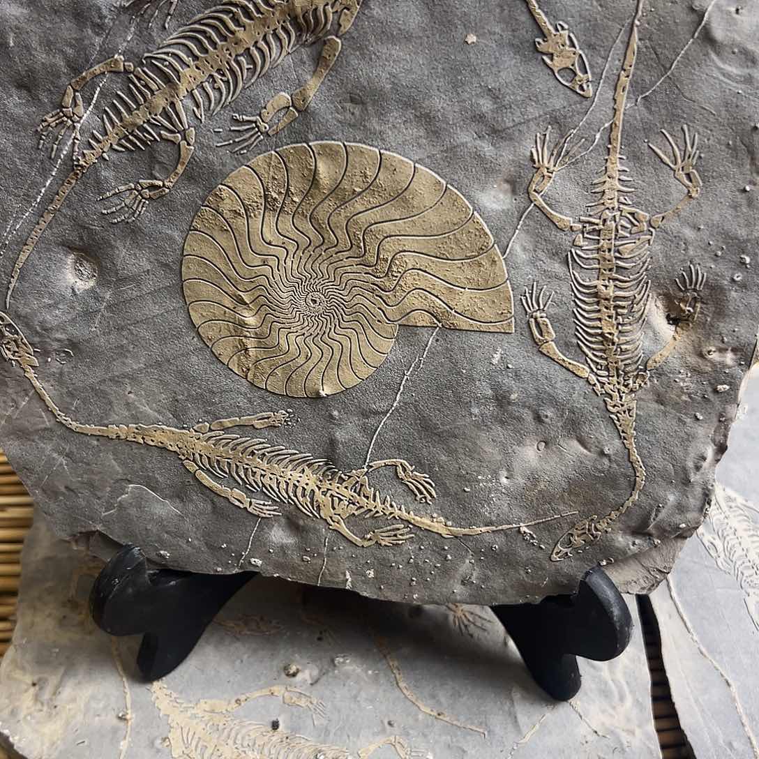 橙***甜石材贵州沉积岩石头