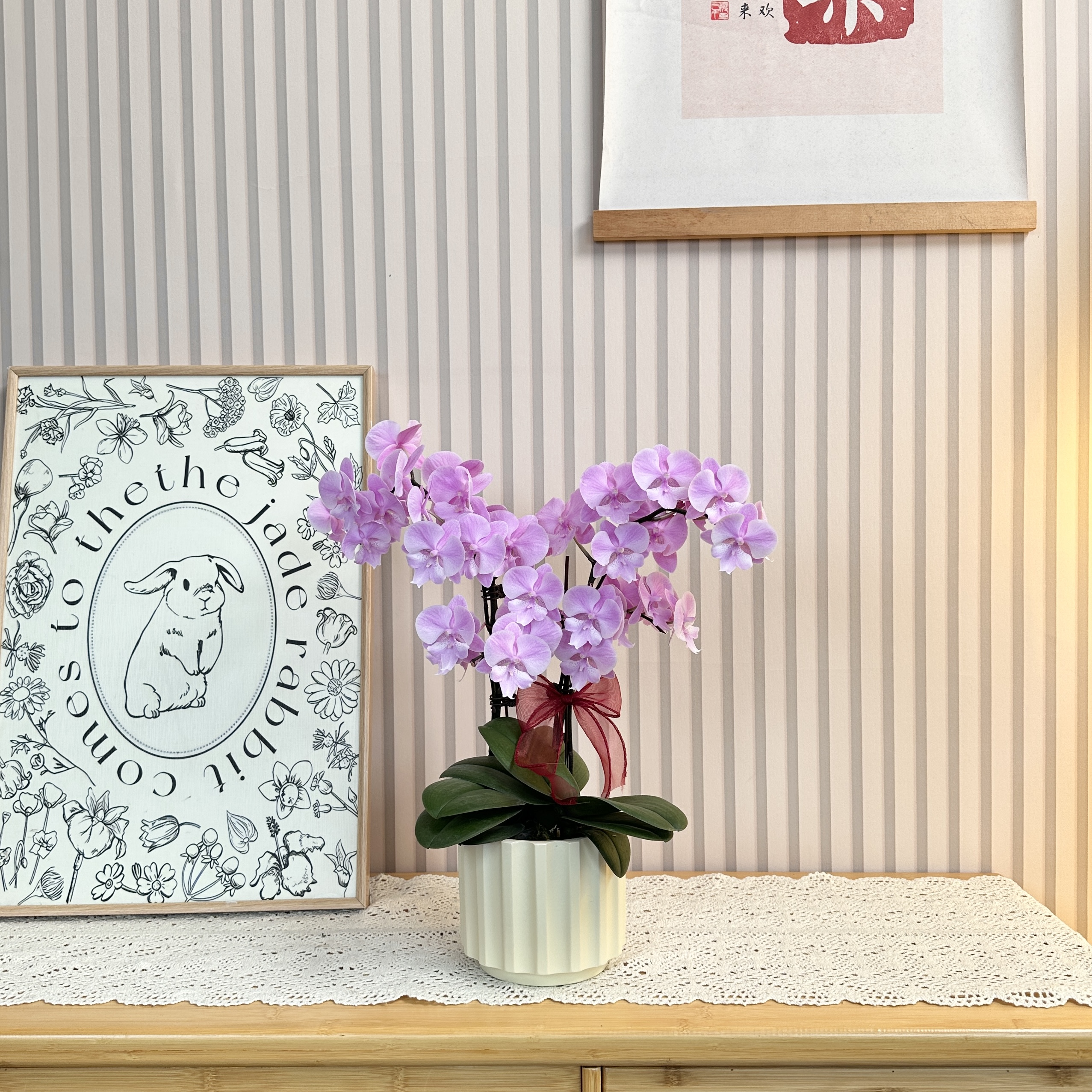 【禹城王子】紫色小花蝴蝶兰 小组盆办公室 教师节礼物 浪漫花束