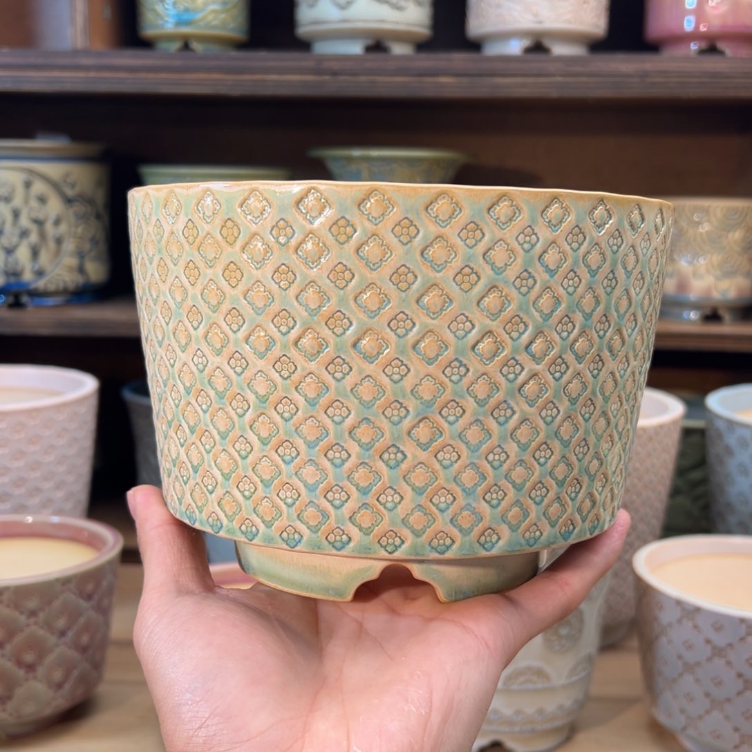 瓷片dy0206-66E常宿外口18cm