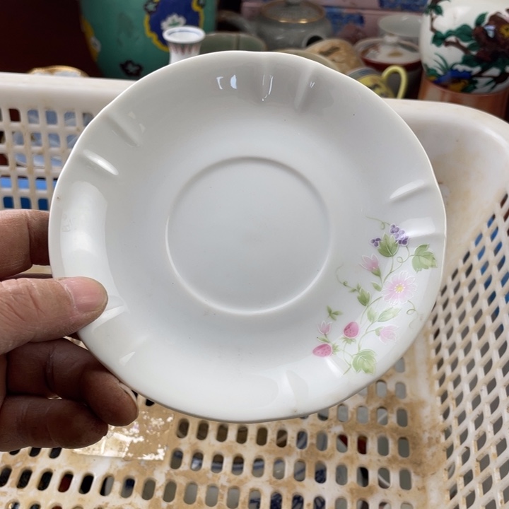 碟开播了开播了开播了