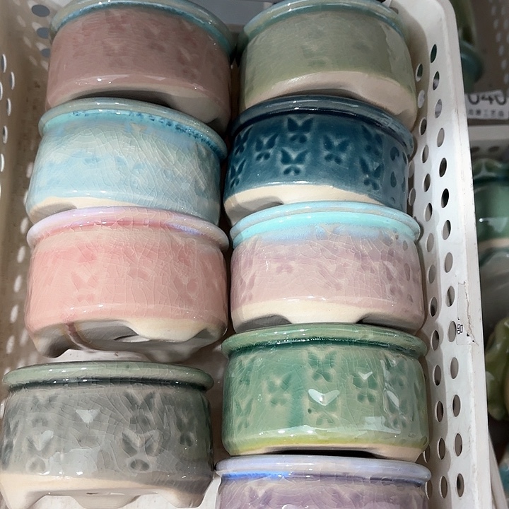 红陶发6个，非完美，介意慎拍。