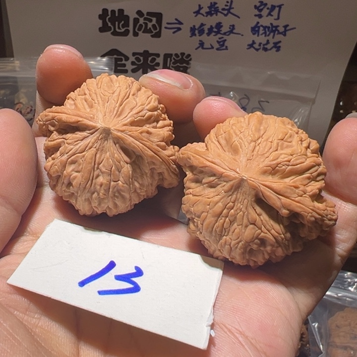 核桃全品无修泥鳅背