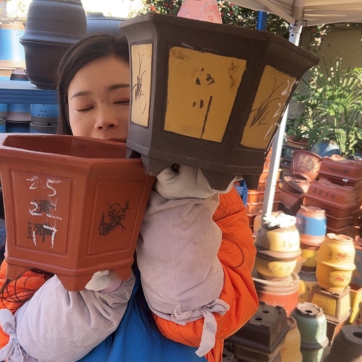 25红清雅六方+25黄刻绘六方花盆