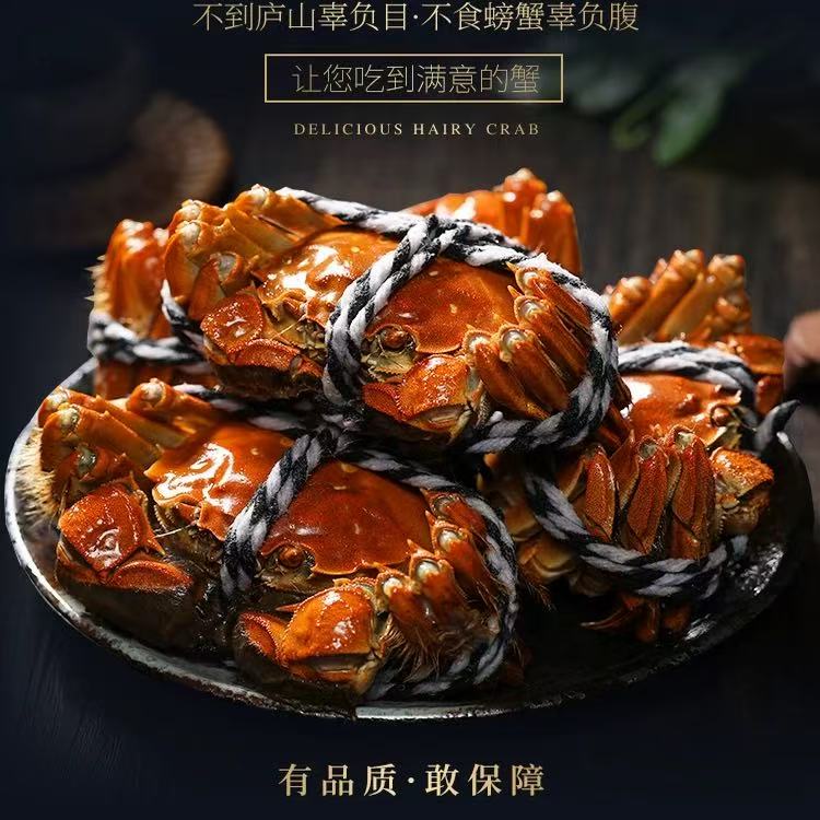 【活蟹】江苏洪泽湖大闸蟹 母蟹4.0-3.7两买6只送2只到手8只 全国顺丰包邮
