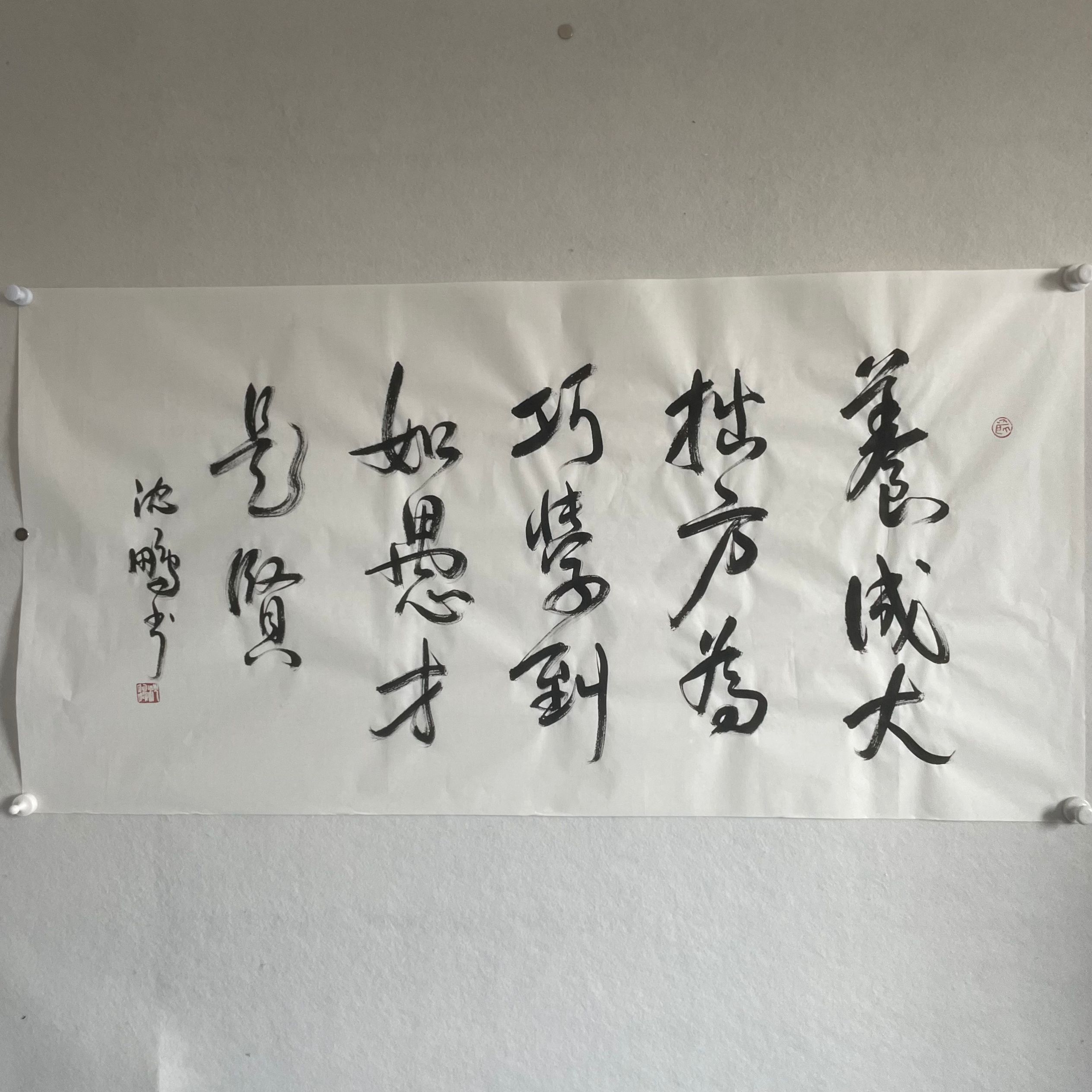 5132 书法 纸本水墨136×68cm