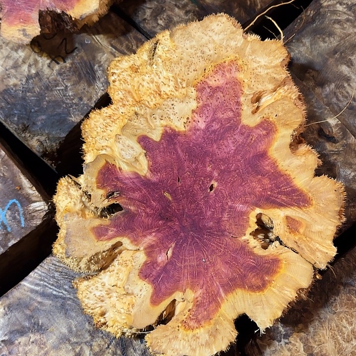 木紫罗兰树瘤定制链接